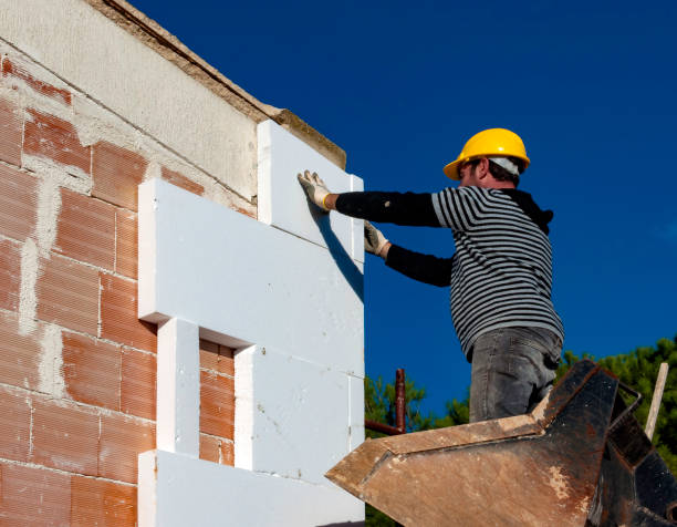 Best Local Insulation Services  in Newport, NC