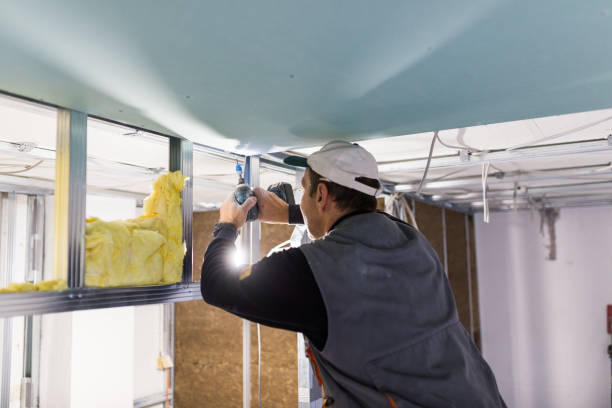Best Blown-in Insulation  in Newport, NC
