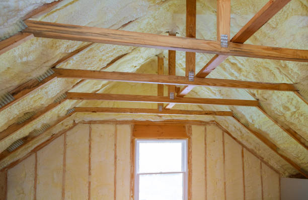 Best Cellulose Insulation  in Newport, NC