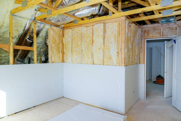 Best Insulation for New Construction  in Newport, NC