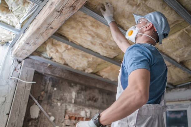 Best Attic Insulation Installation  in Newport, NC