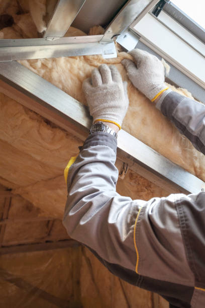 Best Home Insulation Services  in Newport, NC
