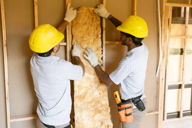 Insulation Inspection Services in Newport, NC