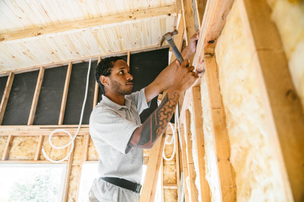 Best Wall Insulation Contractor  in Newport, NC