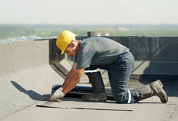 Best Commercial Insulation Contractor  in Newport, NC