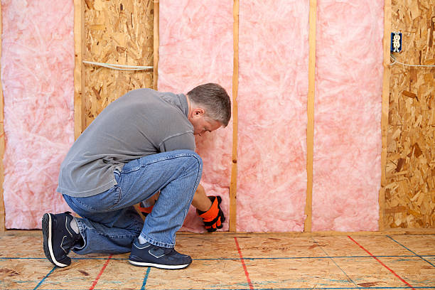 Best Spray Foam Insulation  in Newport, NC