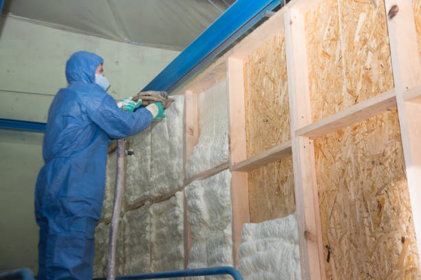Best Insulation Contractor Near Me  in Newport, NC