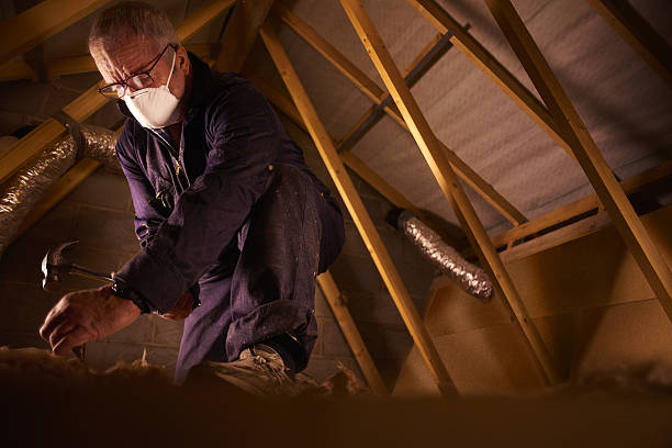 Best Insulation for Commercial Buildings  in Newport, NC