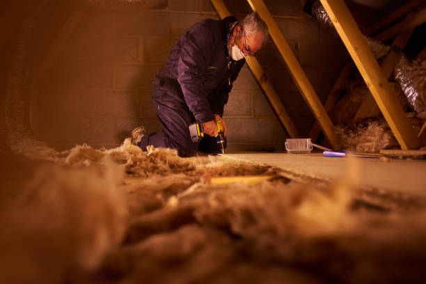 Best Insulation Removal  in Newport, NC